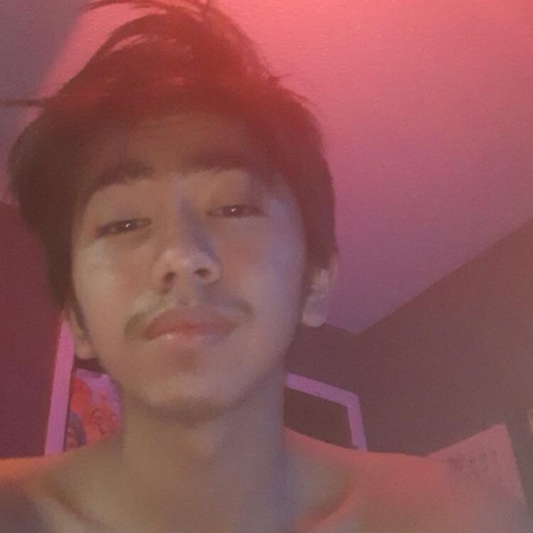 Foto de perfil de Guillermo