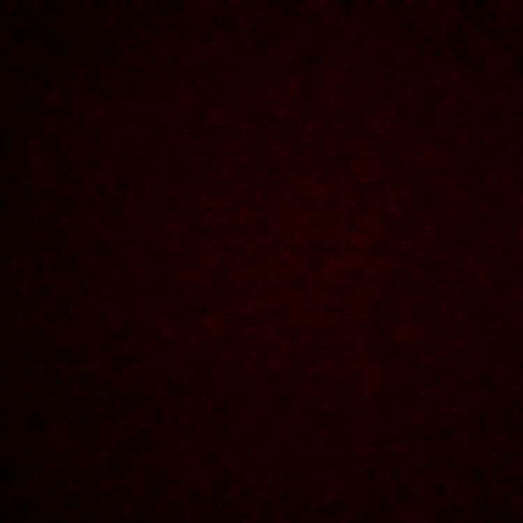 Foto de perfil de Dilan