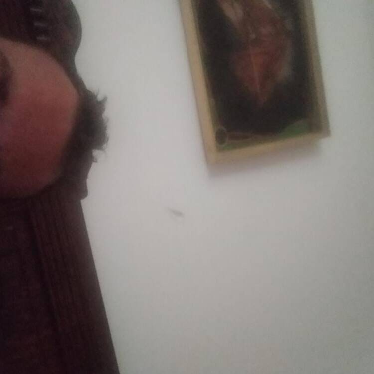 Foto de perfil de Intenso