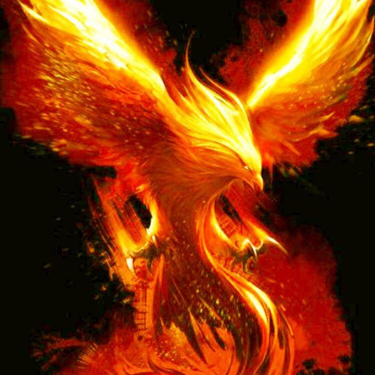 Foto de perfil de EternalPhoenix