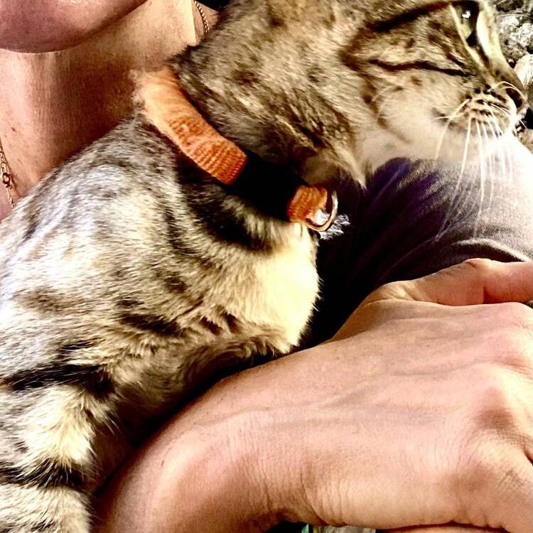 Foto de perfil de Cocoloco