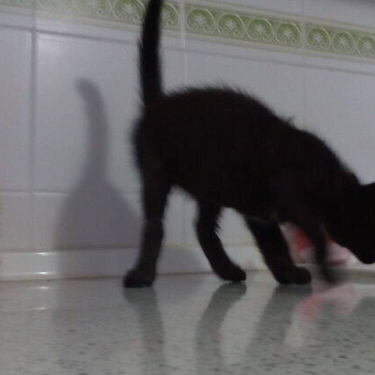 Foto de perfil de Maria