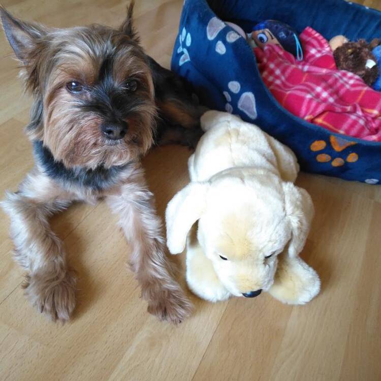 Foto de perfil de Eugenia