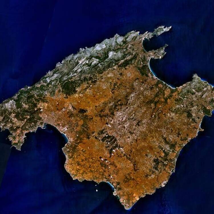 Foto de perfil de hombre46palma