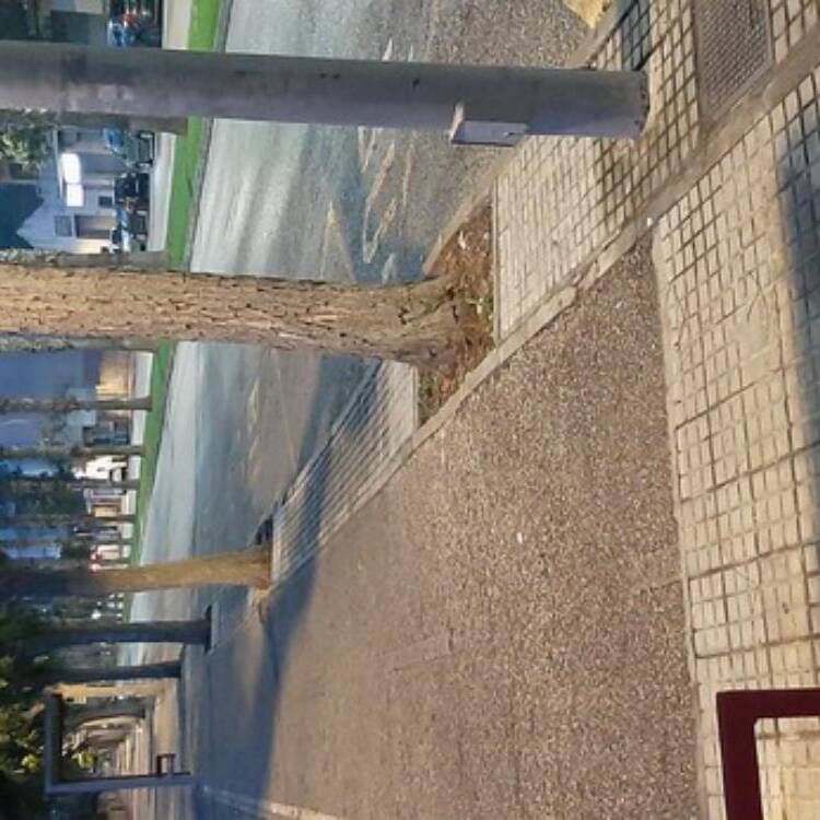 Foto de perfil de Luis