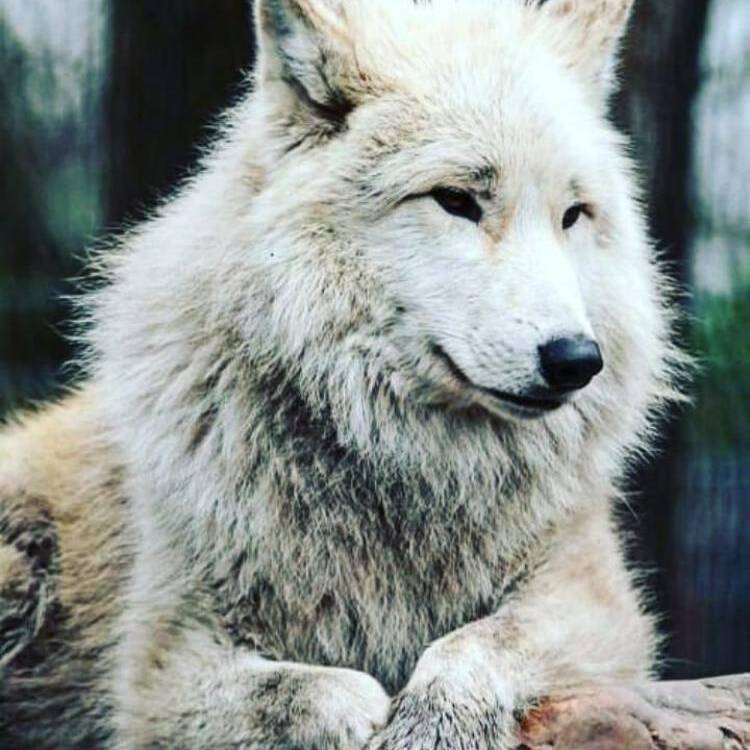Foto de perfil de Alex