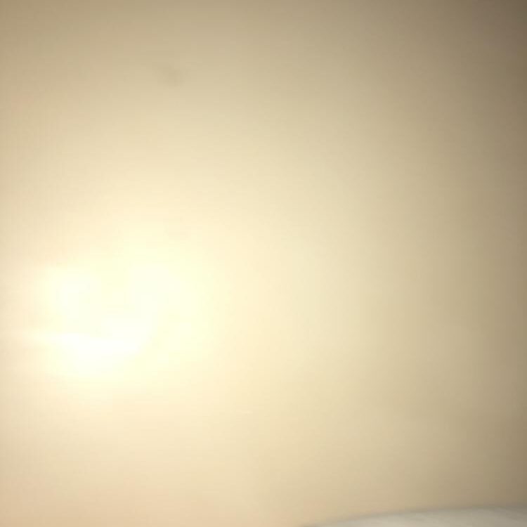 Foto de perfil de johnhops19