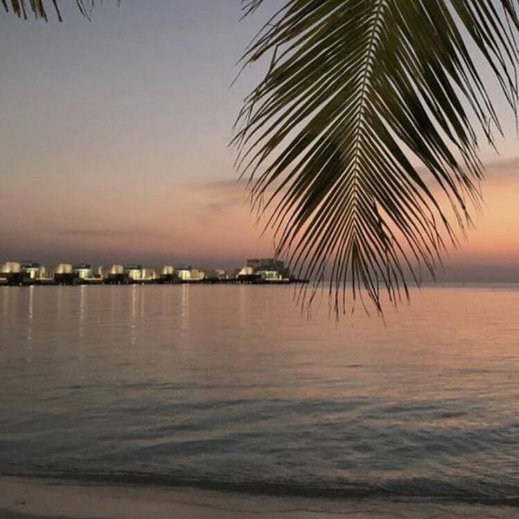 Foto de perfil de luisa
