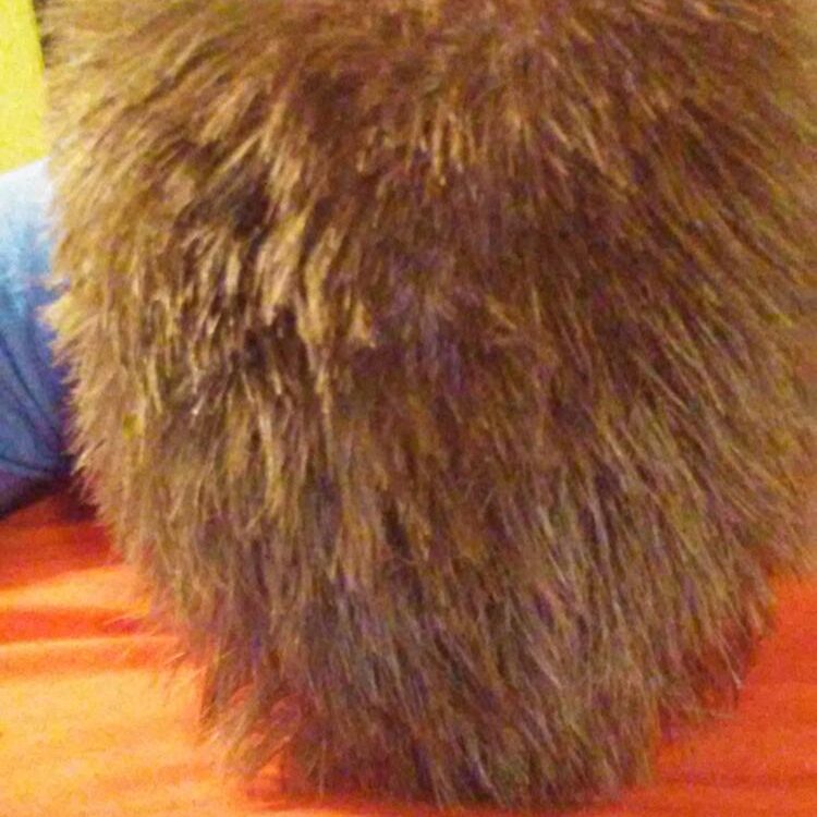 Foto de perfil de Brycieisme4ulilchloe