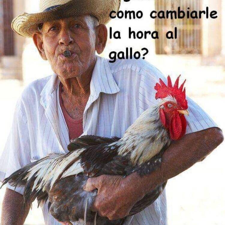 Foto de perfil de Pepe