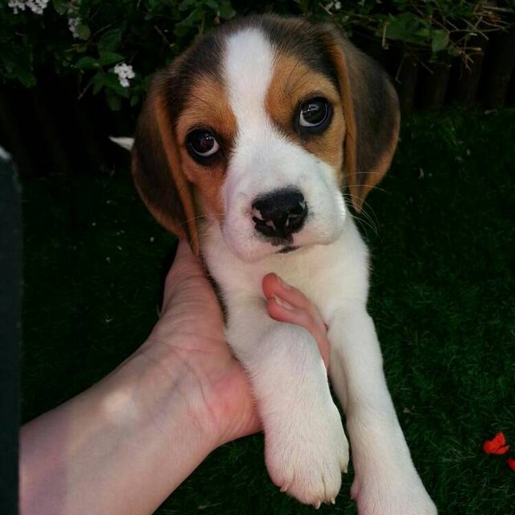 Foto de perfil de Susa
