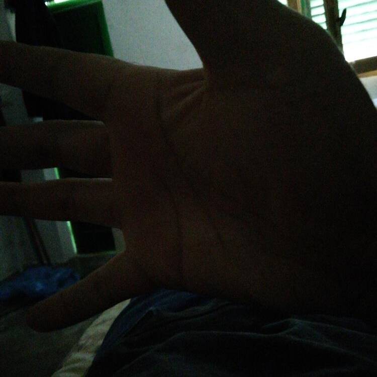 Foto de perfil de Lal