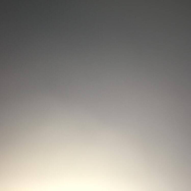 Foto de perfil de Marcel