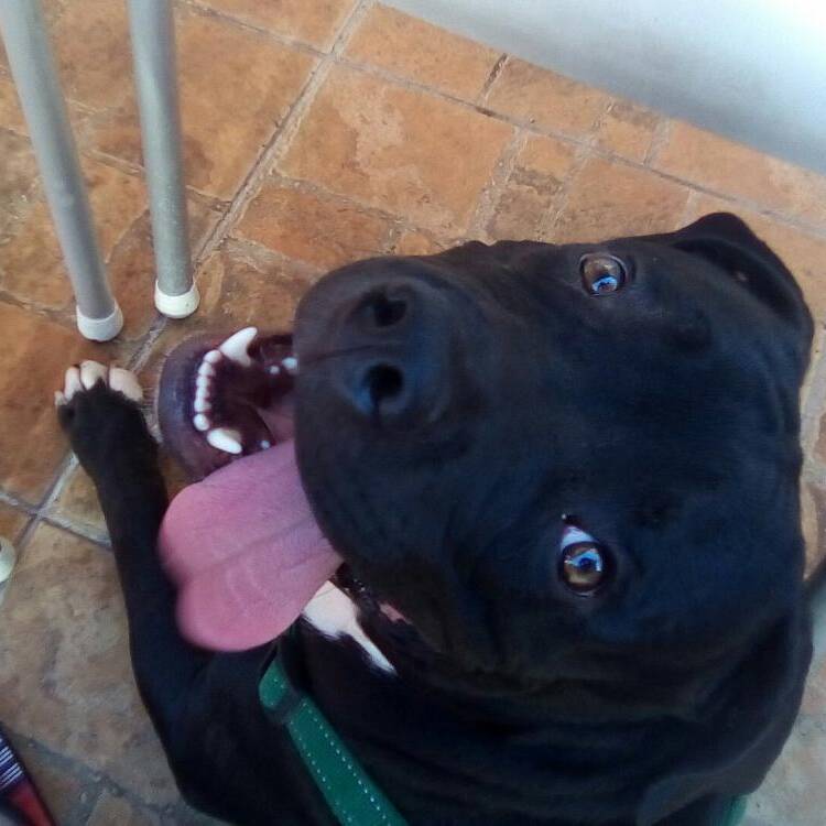 Foto de perfil de Manu