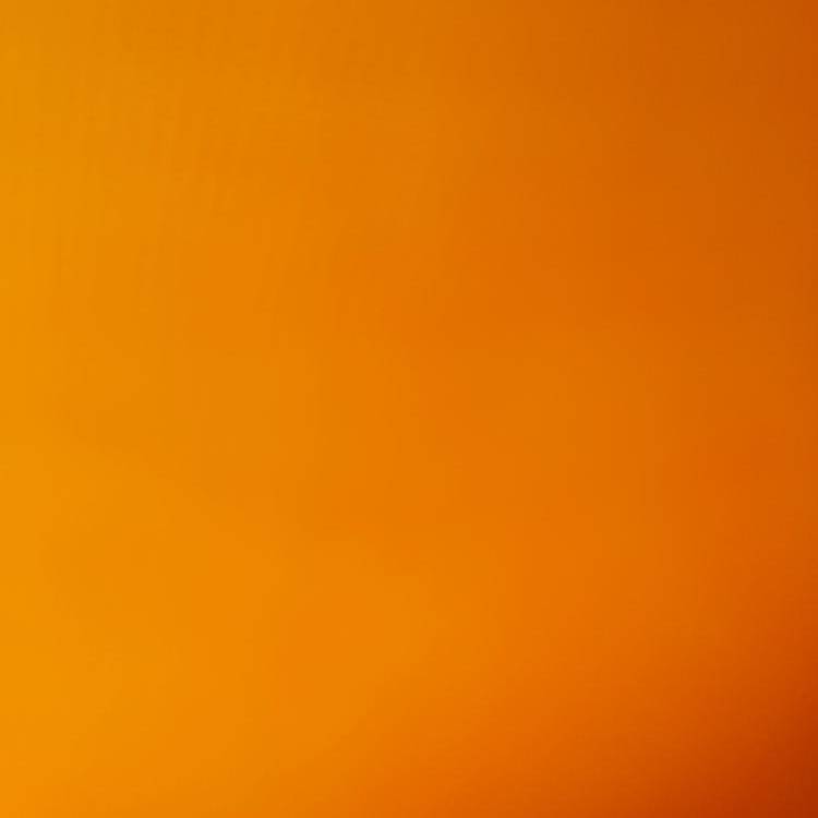 Foto de perfil de Nina
