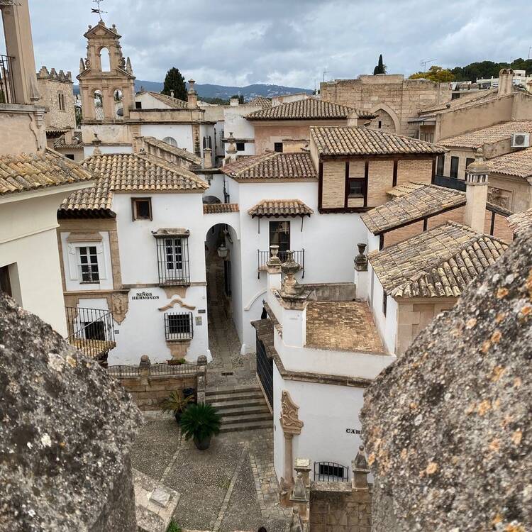 Foto de perfil de Pep Palma