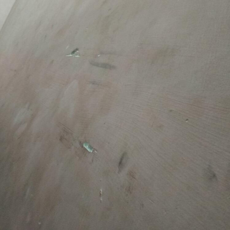 Foto de perfil de Sam223