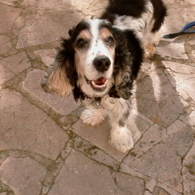 Foto de perfil de sintiempo49
