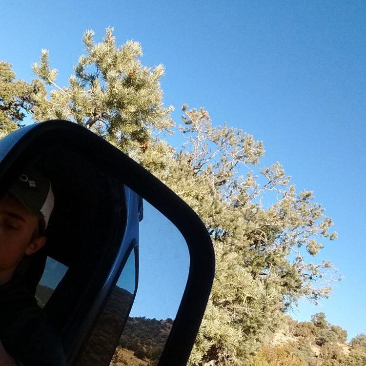 Foto de perfil de wstang