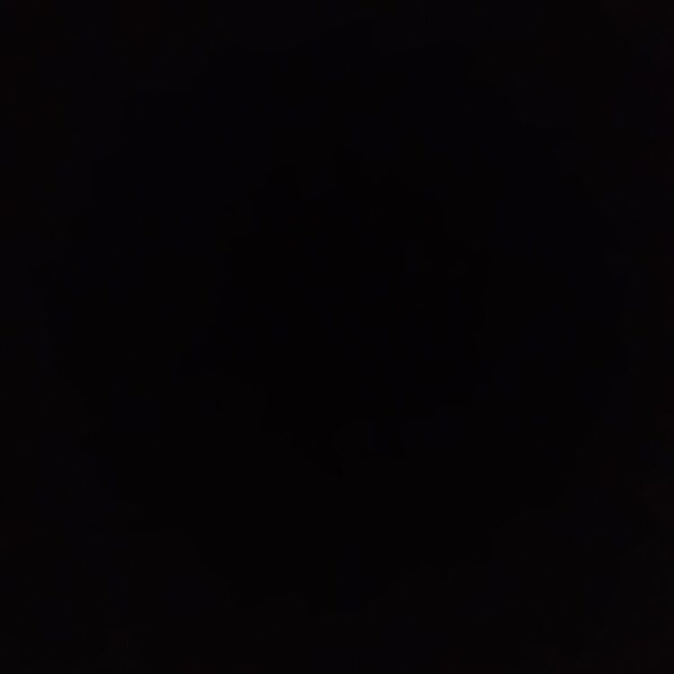Foto de perfil de Devon