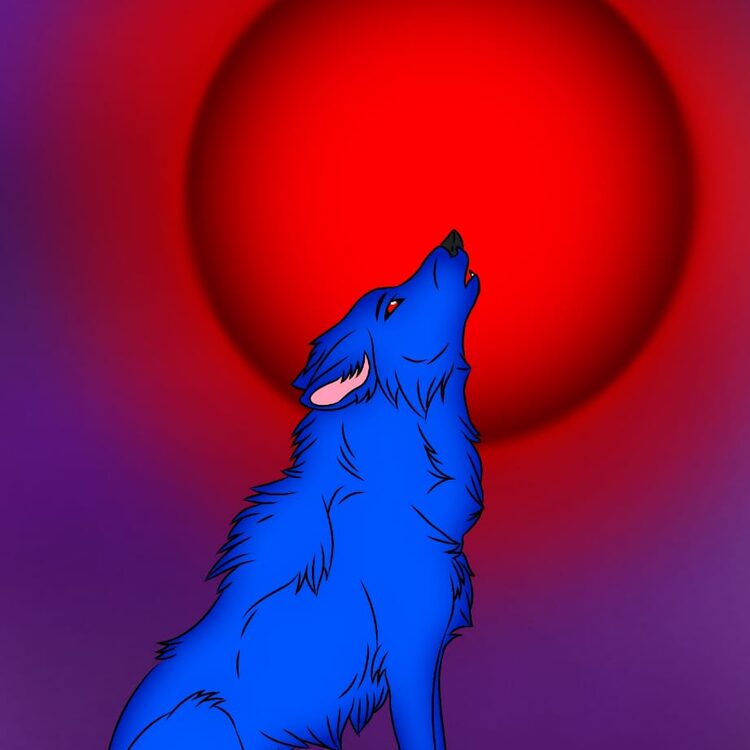 Foto de perfil de iwisd0m