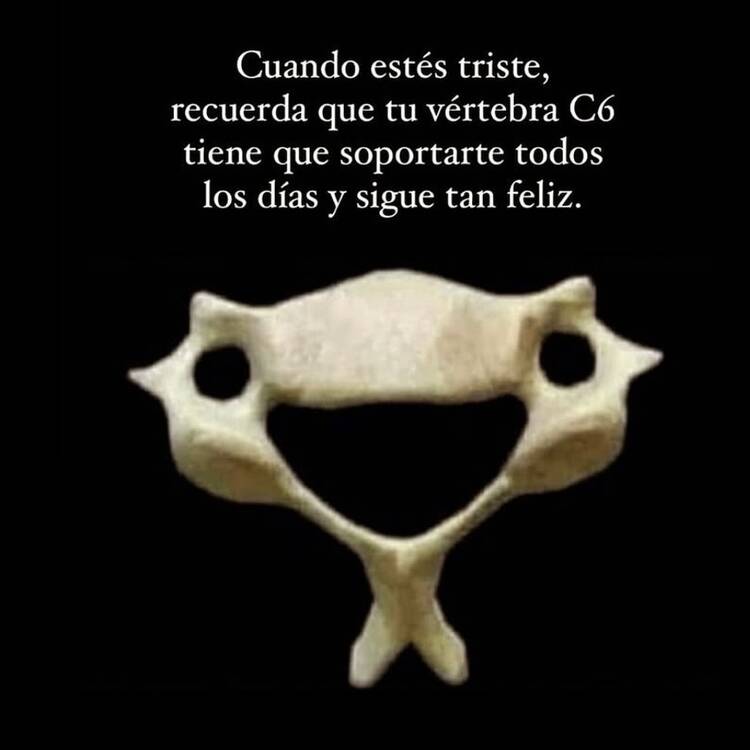 Foto de perfil de alimar