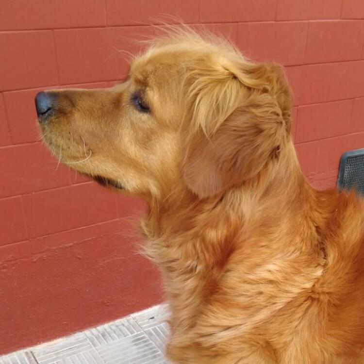 Foto de perfil de Casimiro Perez