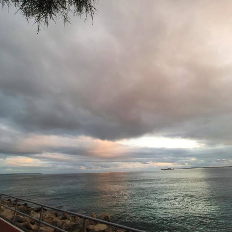 Foto de perfil de Meteco