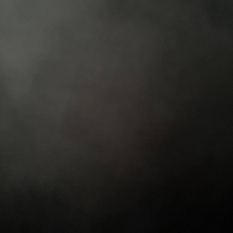 Foto de perfil de Perro