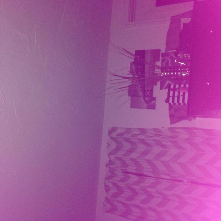 Foto de perfil de Lovelyrose9367