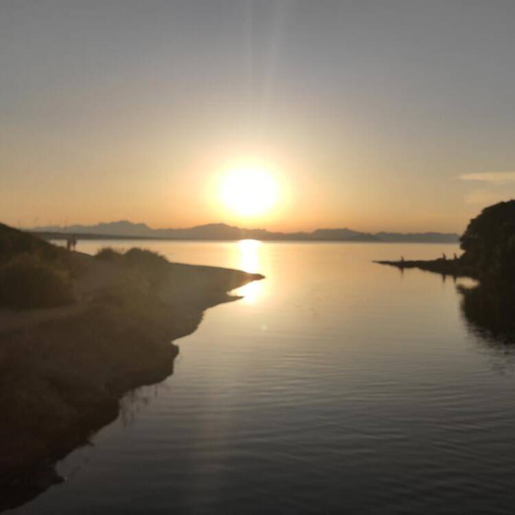 Foto de perfil de Jaume