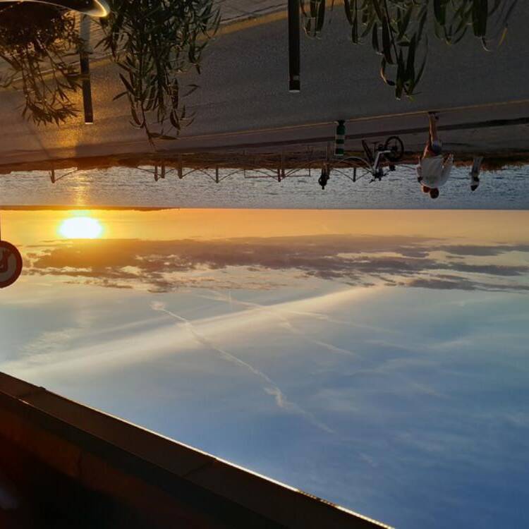 Foto de perfil de Estrella