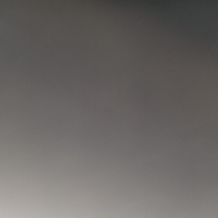 Foto de perfil de Kion