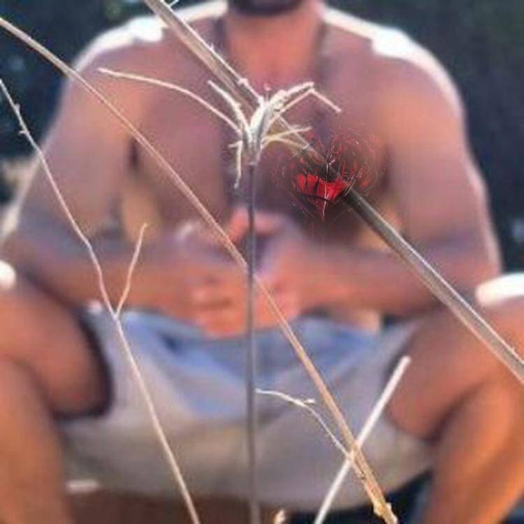Foto de perfil de Abraham 1/11/nuevo in.