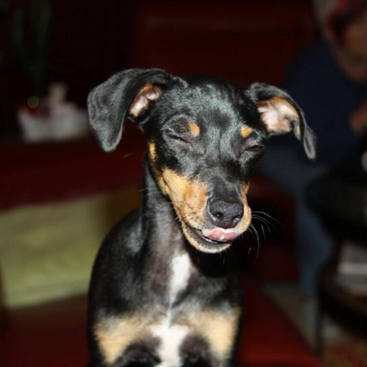 Foto de perfil de Roger