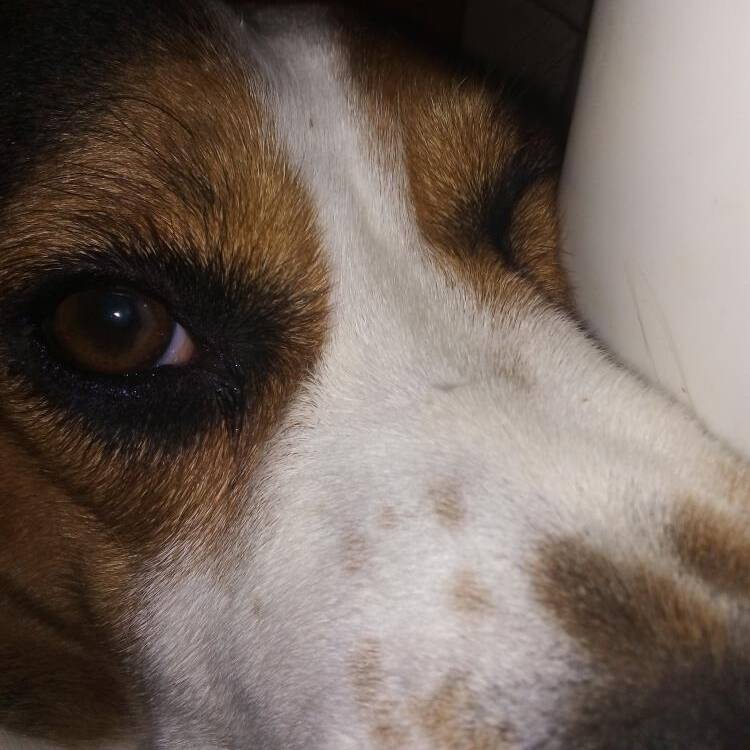 Foto de perfil de Manuel