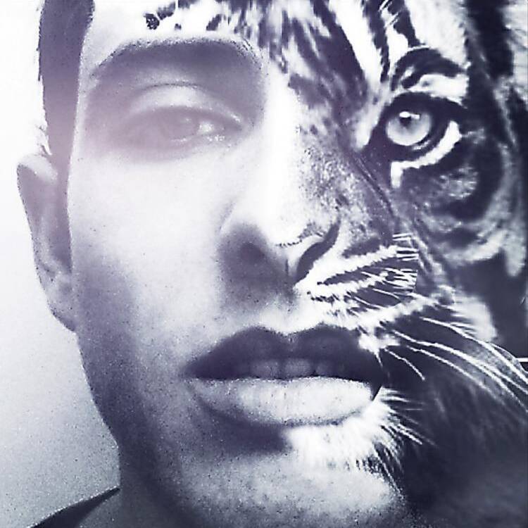 Foto de perfil de Daniel Meseguer Latorre