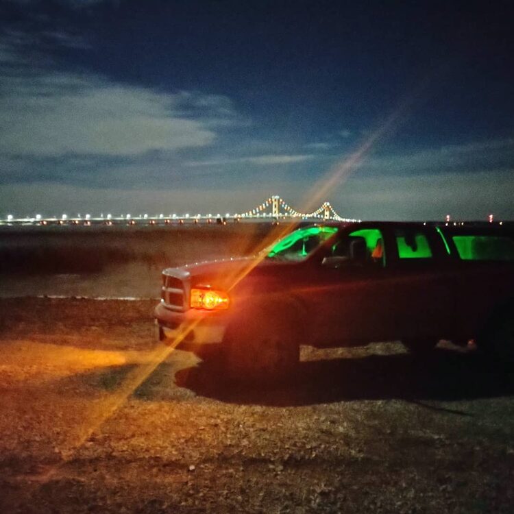 Foto de perfil de Moose