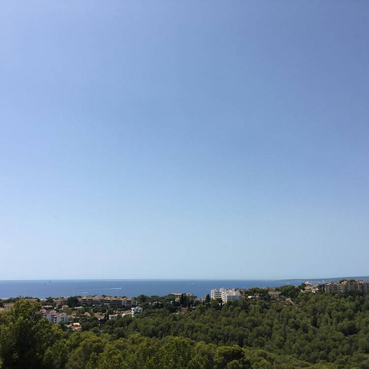 Foto de perfil de Mircea