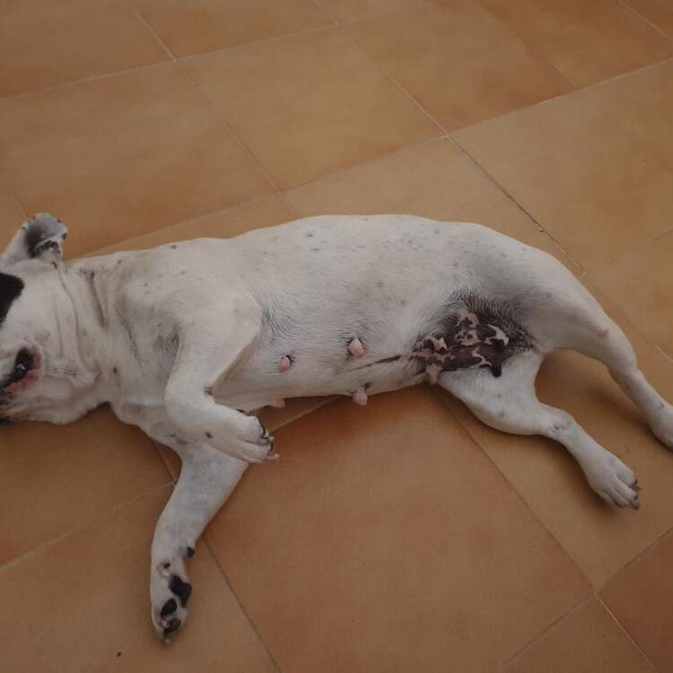 Foto de perfil de Jaime M