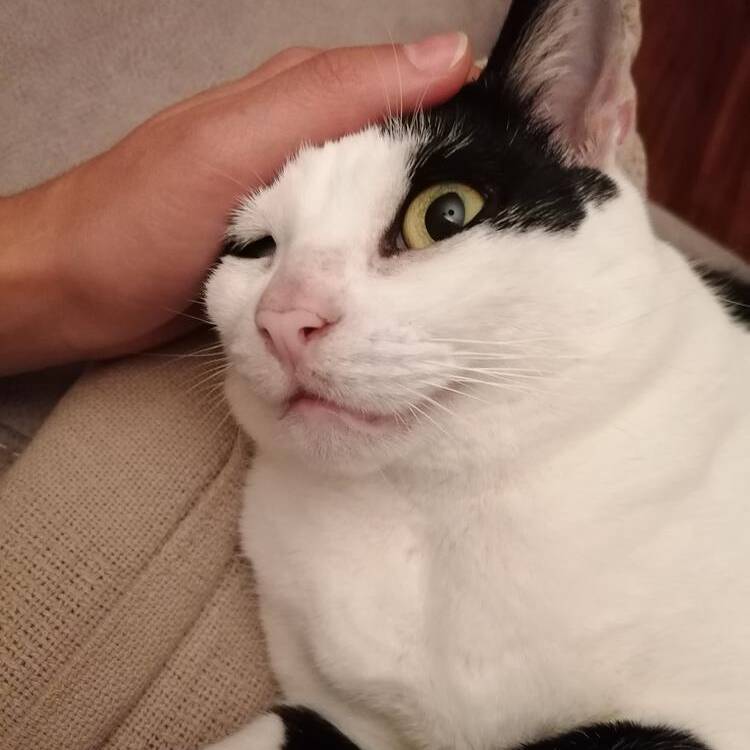 Foto de perfil de yaiza