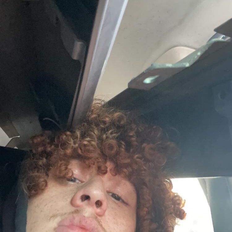 Foto de perfil de Luis