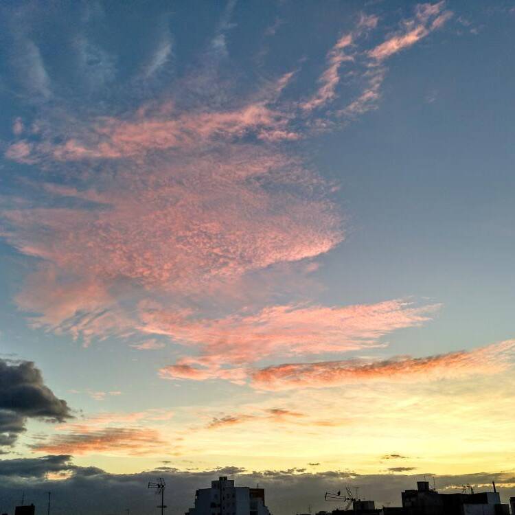 Foto de perfil de Sandra