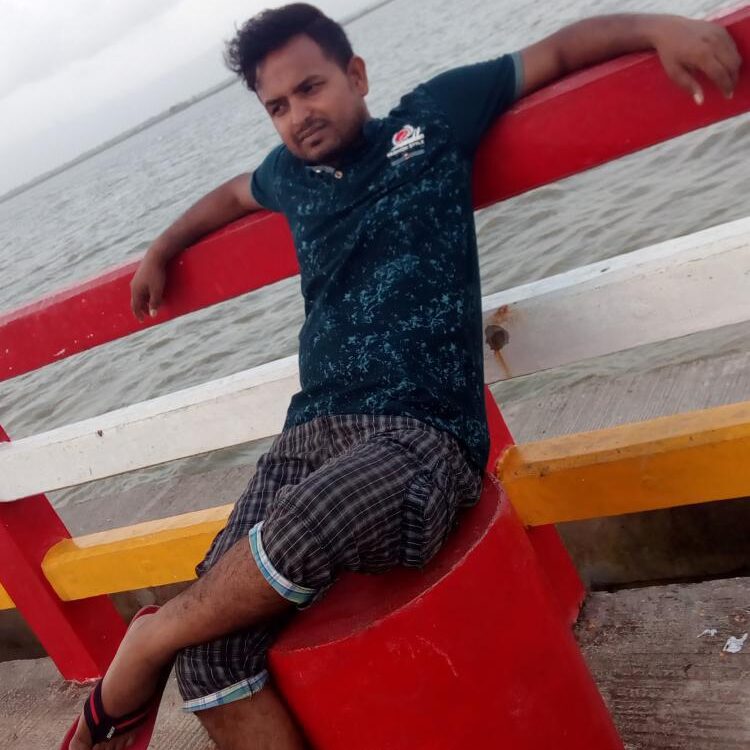 Foto de perfil de Nahid Ahsan