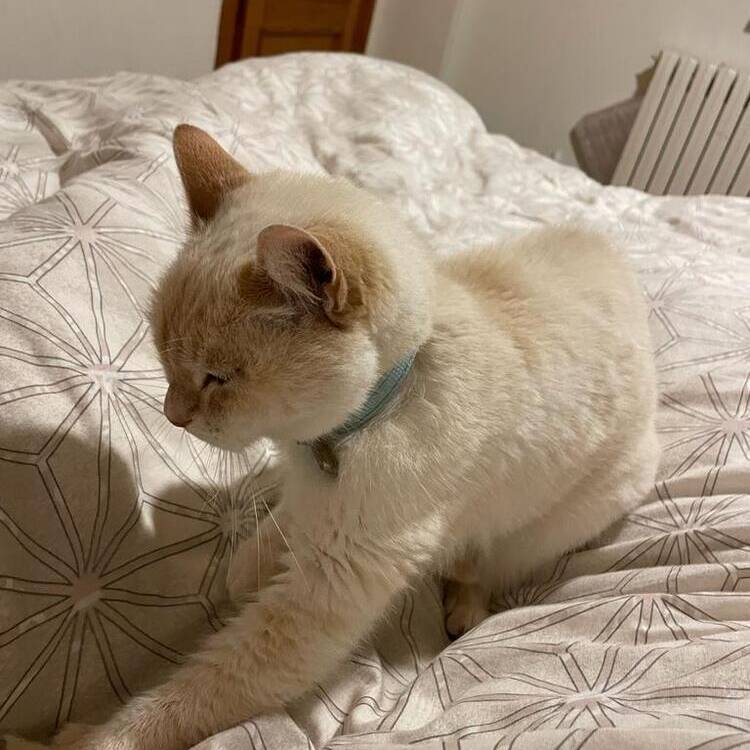Foto de perfil de Carlos