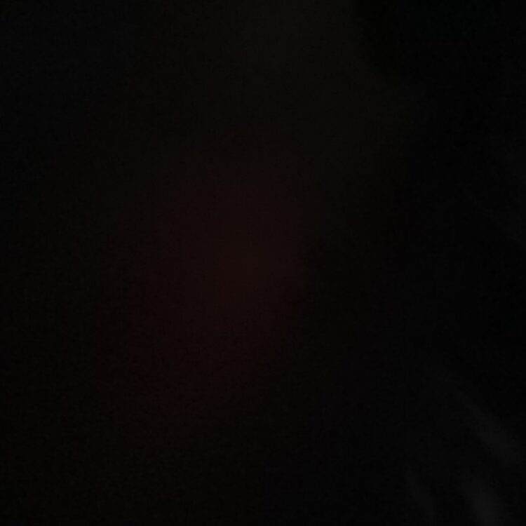 Foto de perfil de Riley Walker