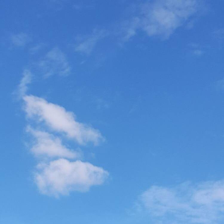 Foto de perfil de Cat