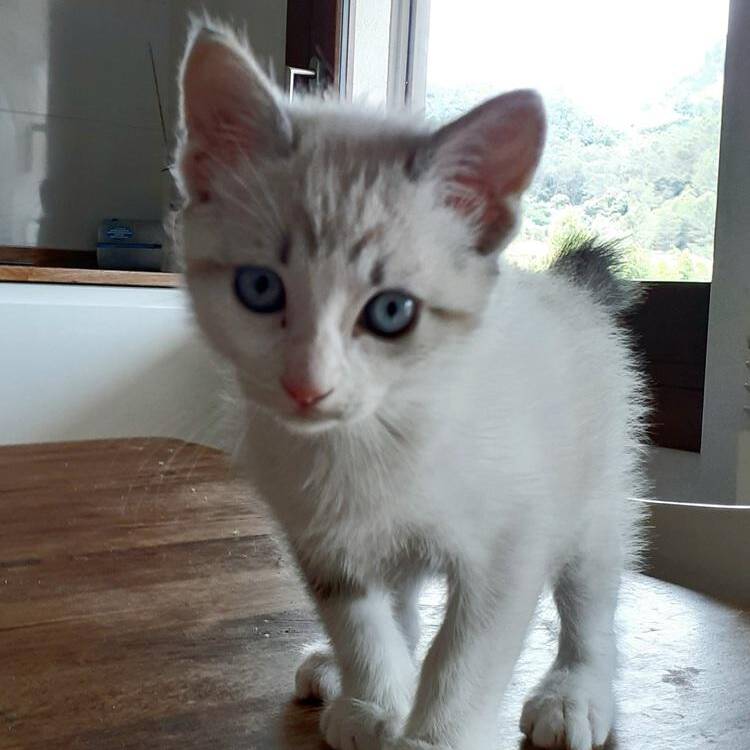 Foto de perfil de Ana