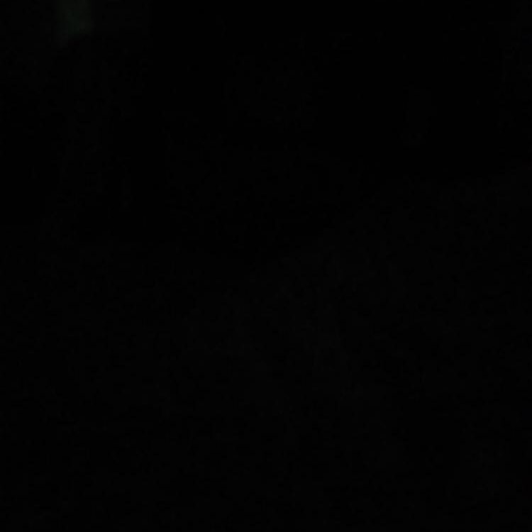 Foto de perfil de Yoyi21