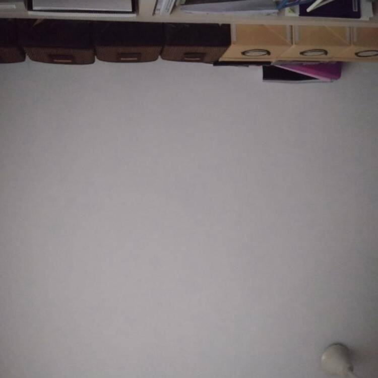 Foto de perfil de Antonio